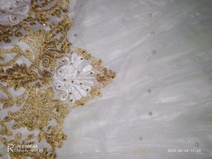 Golden Embroidered White Net Gown