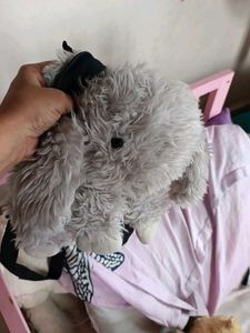 Plush bunny  Stuffed Animal bagpack
