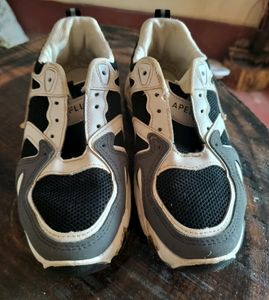 Women Sneaker