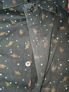 Shirt and Pant combo