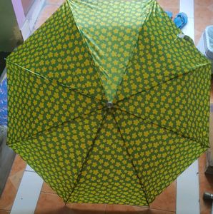 3 Umbrellas