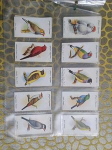 Vintage Bird Cards