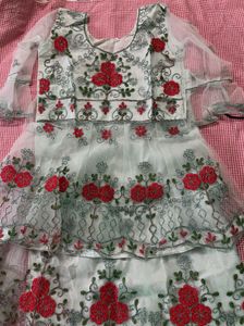 Embroidered Lehenga Choli Set