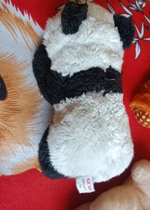 Soft Toy