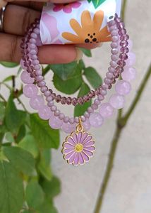 Daisy Stacks 🌸