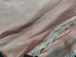 Jimmy Choo Saree