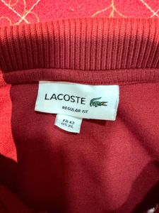 trending lacoste tshirt 1st copy confortable
