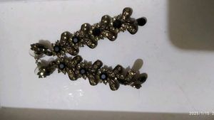 Multi Colour Earrings