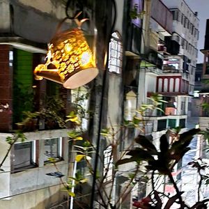 Garden or Outdoor Solar Light