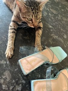 Stylish Transparent Heels