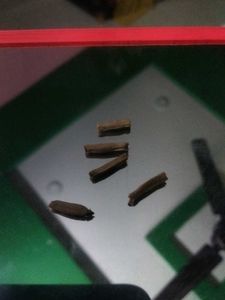 (5🌱🥔Adenium plant seeds)