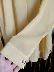 Sheer Pastel Yellow Long Sleeve Blouse