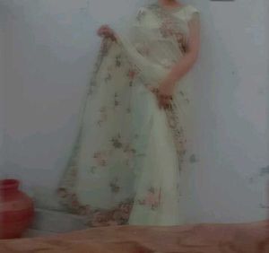 Aesthetic Sarees . With Peticoat Or Blouses