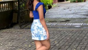 Chic Blue &amp; White Toile Print Skirt