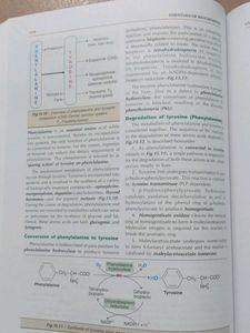 Essentials of Biochemistry