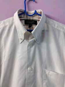 Classic White Burberry Shirt