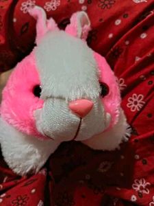Cute 4 Soft Toys