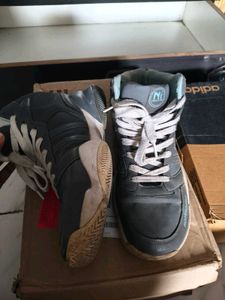 Northstar High Top Sneakers
