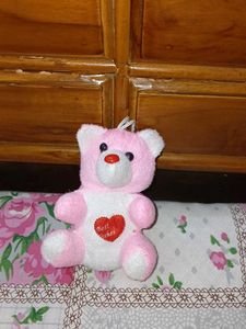 Cute Pink Teddy Bear Plush 🌸🧸