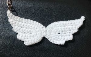 Jennie's fallen Angel Wings Keychain