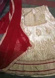 Elegant Lehenga Choli Set