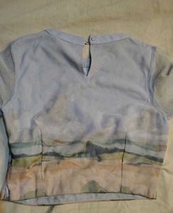Unique Landscape Print Sheer Sleeve Top