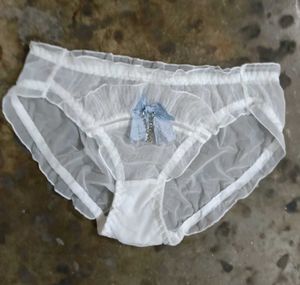 Sheer White Lace panty