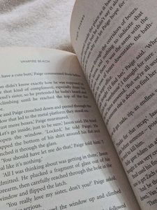 High Stakes &amp; Hunted original book