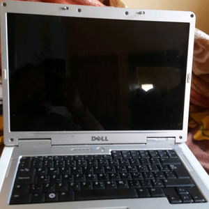 2 laptops only display not working