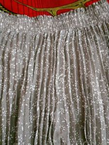 Pleated Skirt