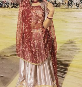 light pink chaniya choli