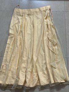 Elegant Ethnic Skirt