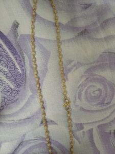 Delicate Gold Chain Necklace