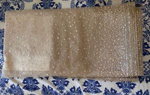 SALE Sequin SINDH Saree- 2hrs used