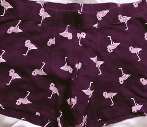 Flamingo Print Shorts
