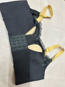 high Quality thin padded Lace Detail Bra