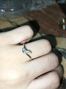 Rings ,Beads, Mini Clature