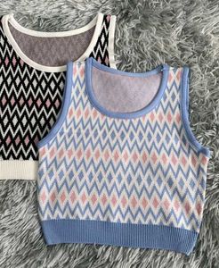 Urbanic Cropped Knit Blue Pattern Top