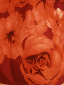Vibrant Floral Print plazzo