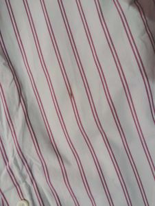Classic Striped Button-Down Shirt
