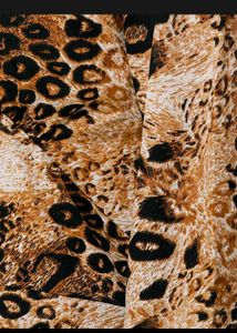Leopard Print V-Neck Long Sleeve Top