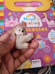 Cute Koala Plush Toy