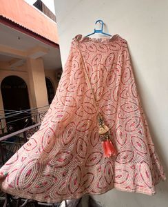 Designer Embellished Lehenga Skirt blouse nd duptt