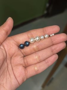 Stud Earrings
