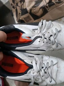 Puma White Casual Shoes