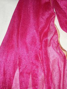Vibrant Pink Dupatta with Embellished Border