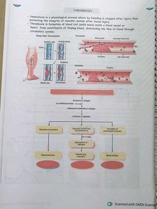 Pathology Module by Johari MBBS colour printnout