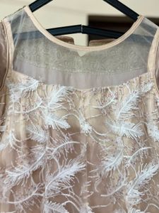 Elegant Feather Embellished Gown