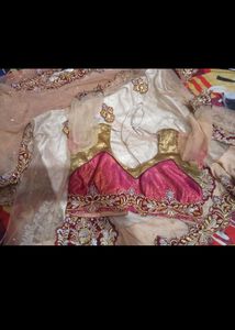 nude Gorgeous Lehenga Choli saree