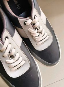 Aesthetic Sneaker !!!